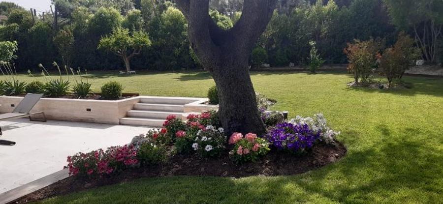 Jardín particular.