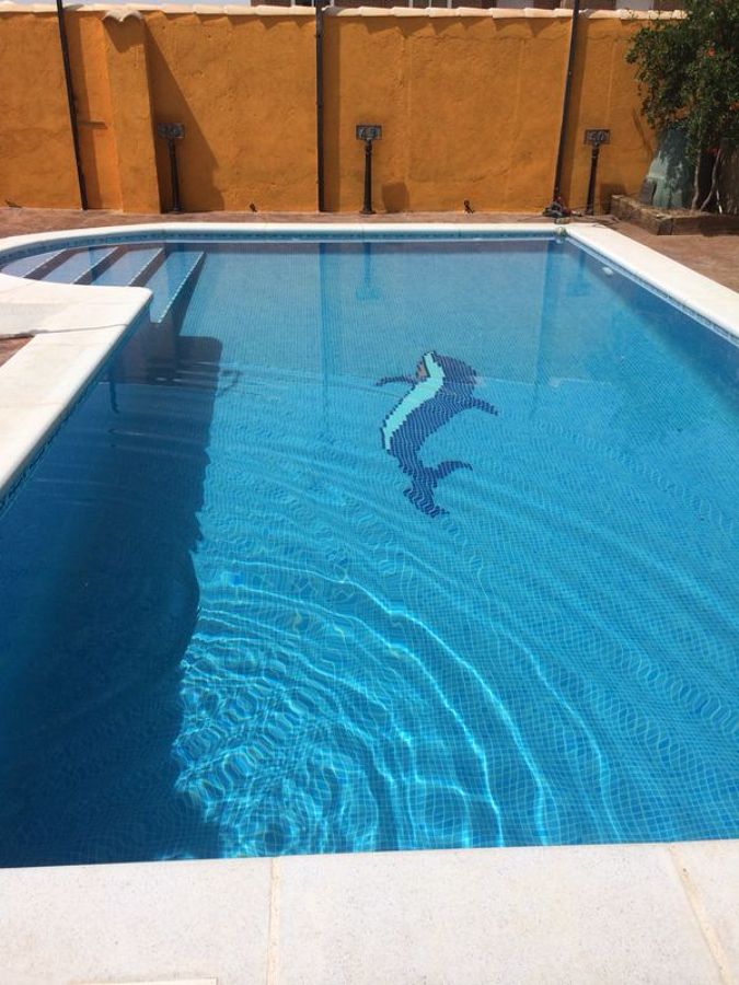 PISCINA GUNITADA 