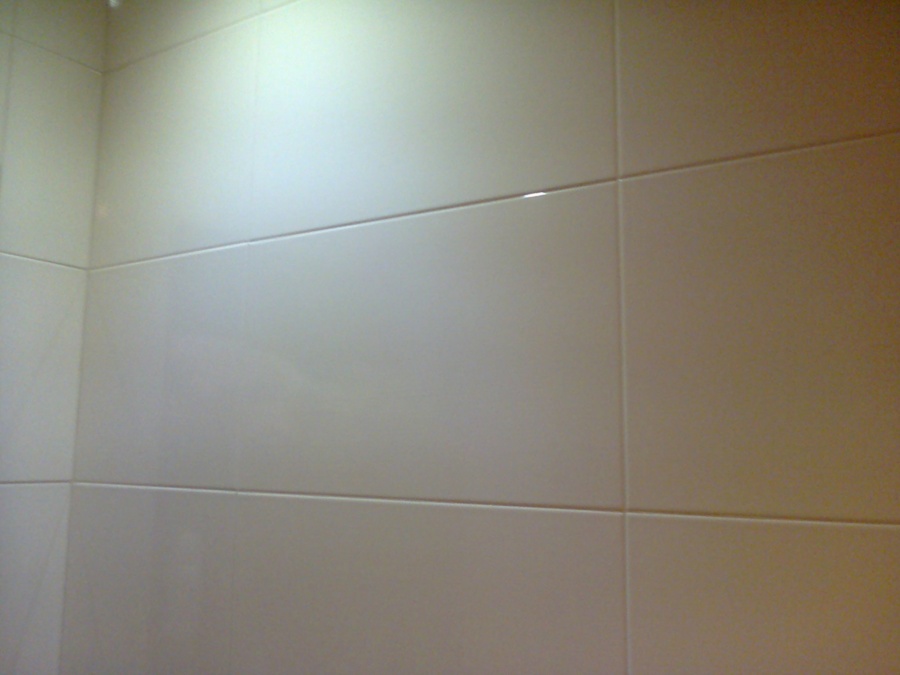 pared baño 1