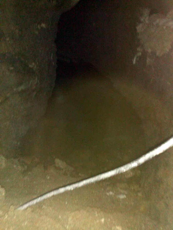 galeria 2
