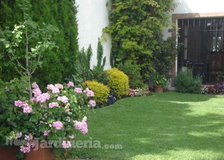 Mantenimiento jardín