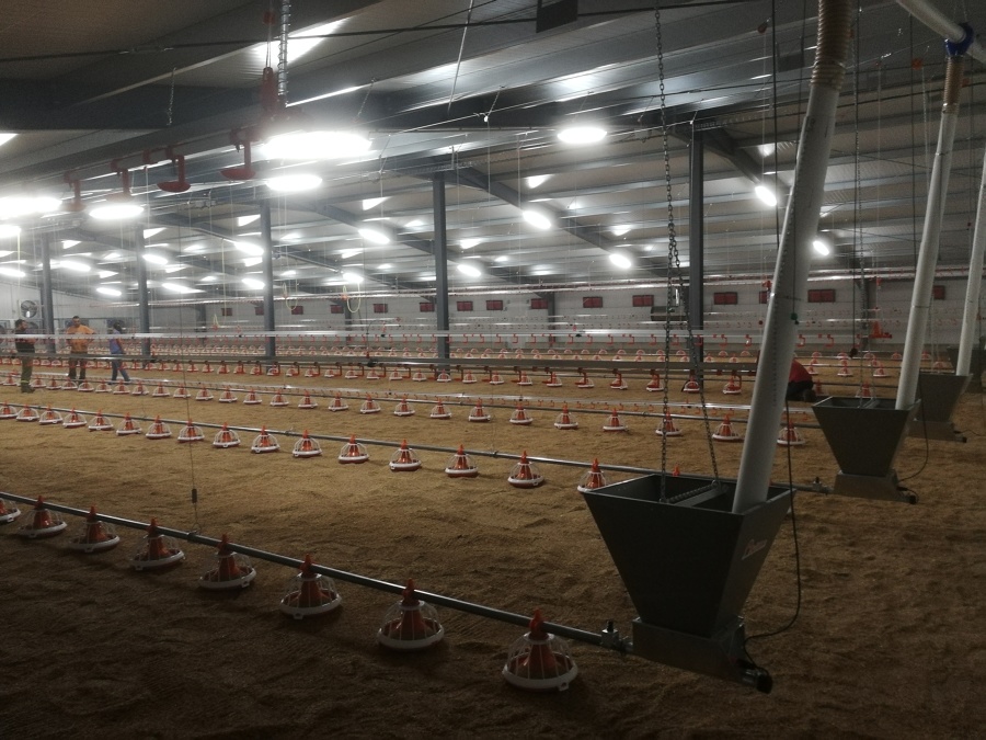 instalación eléctrica granjas