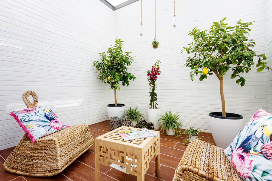 terraza