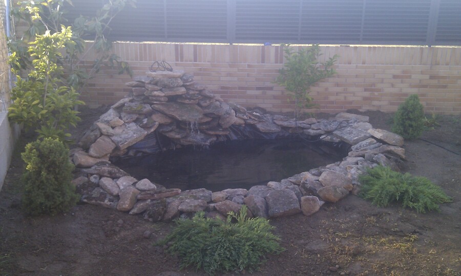 Estanque con cascada