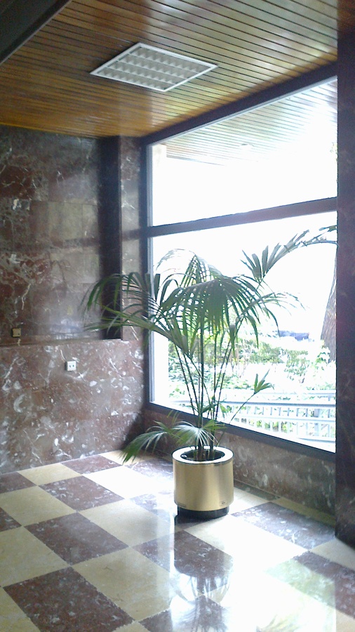 Accesibilidad