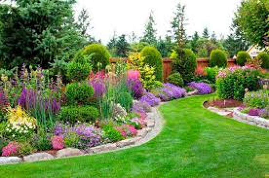 mantenimeinto de jardines