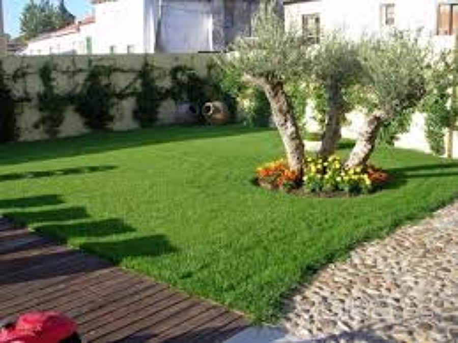 Jardín
