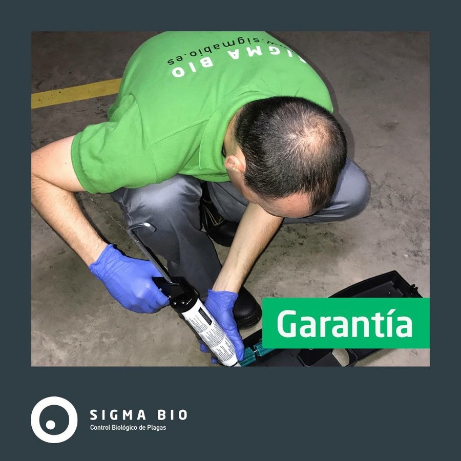 Aplicación