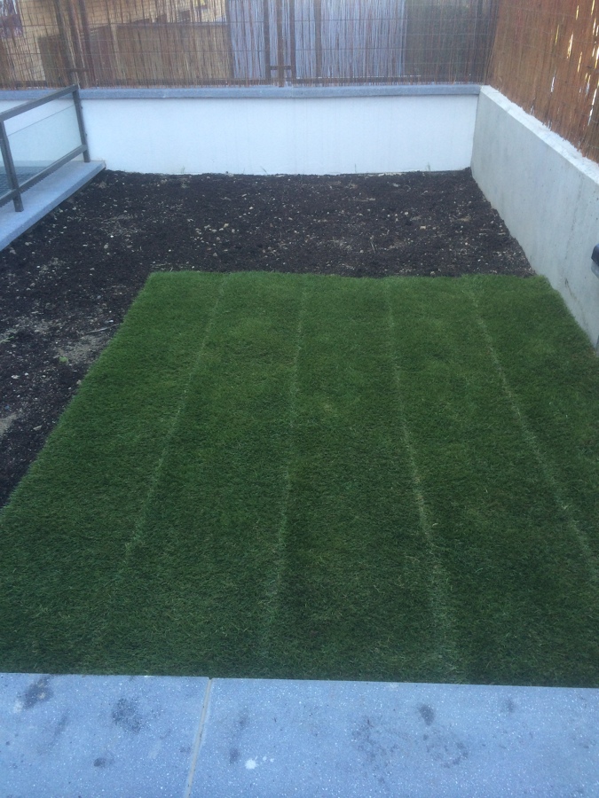 Jardin