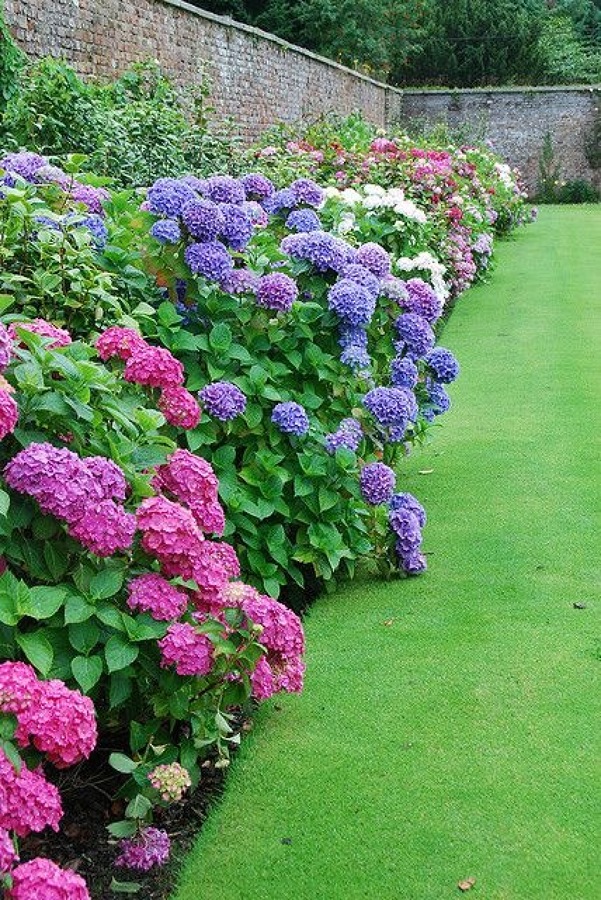 Jardín 