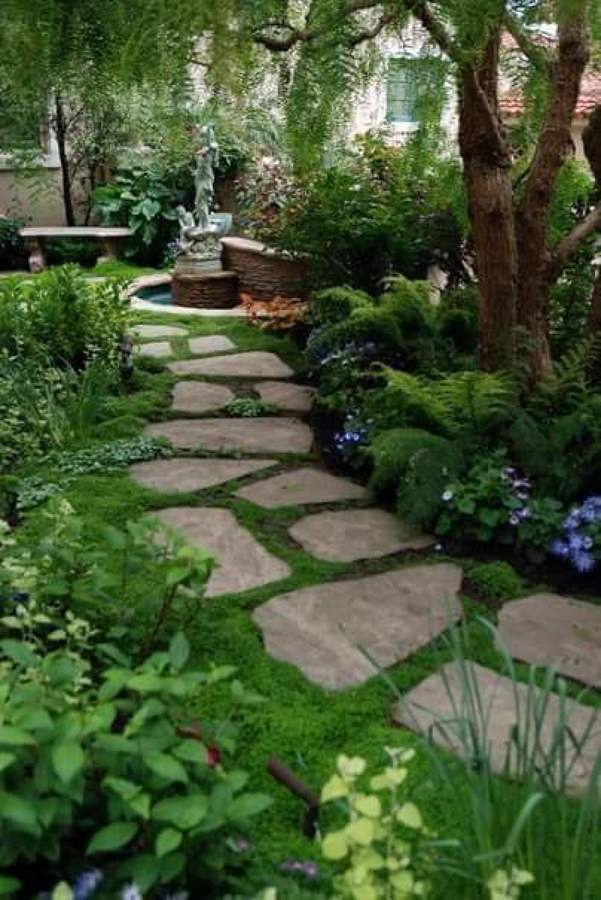 Jardin paisajistico