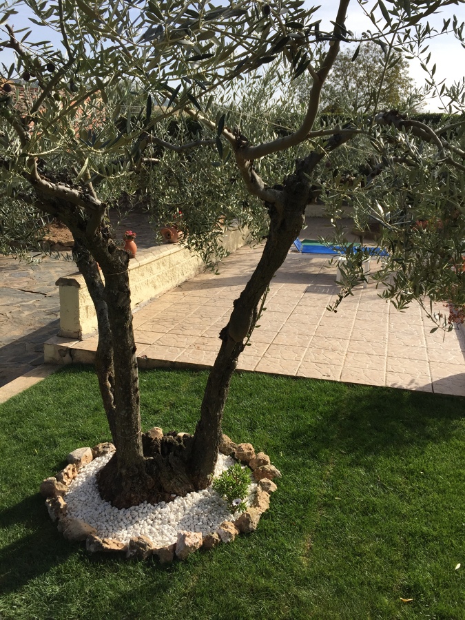 Jardinería 