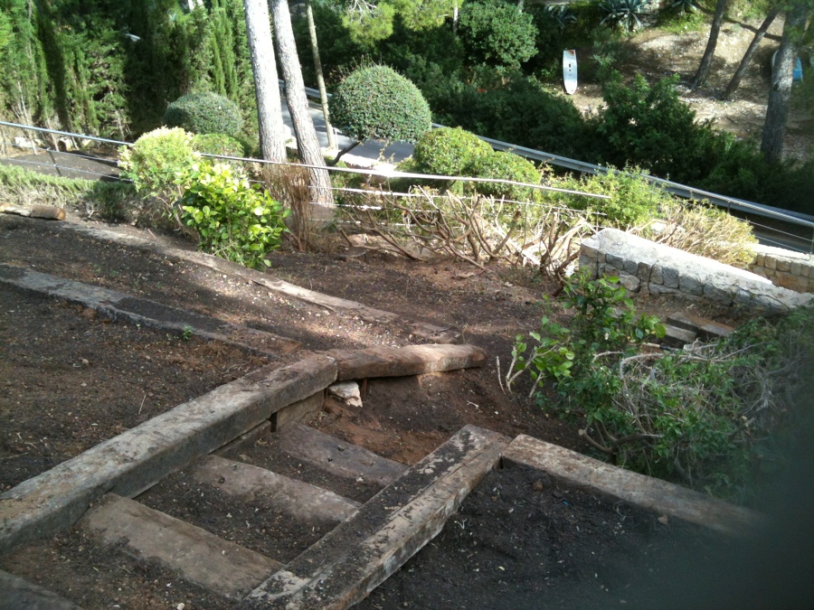 Rediseñando jardin