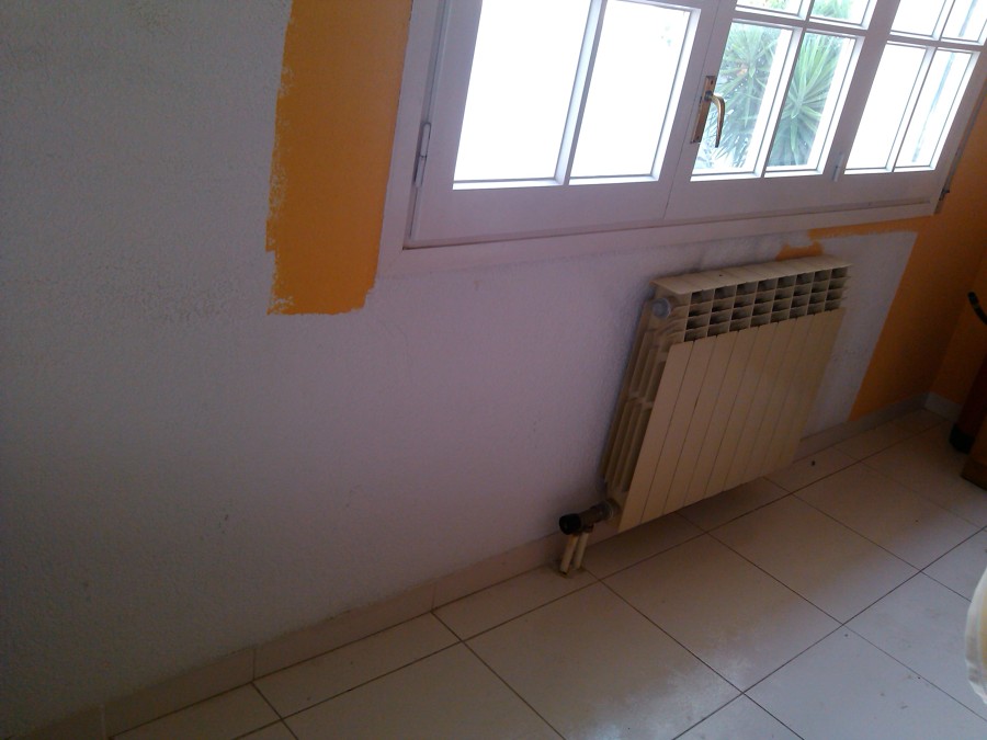 ANTES DE PINTAR
