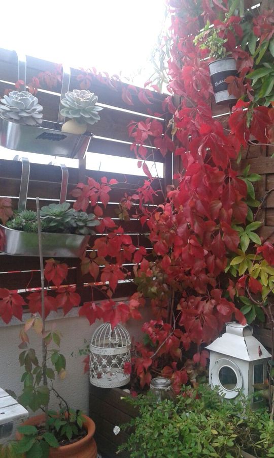 Terraza Ático