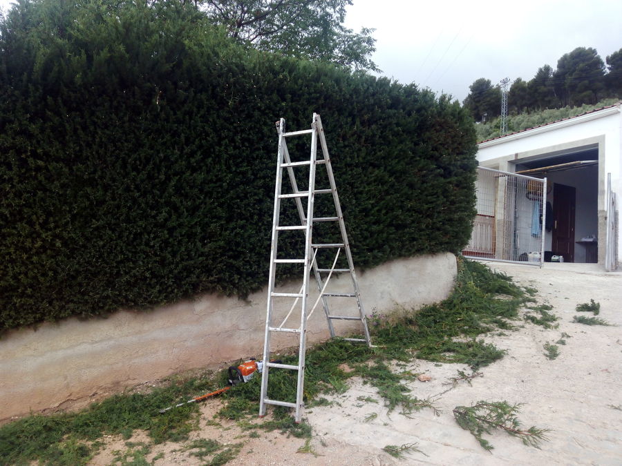 corte de seto