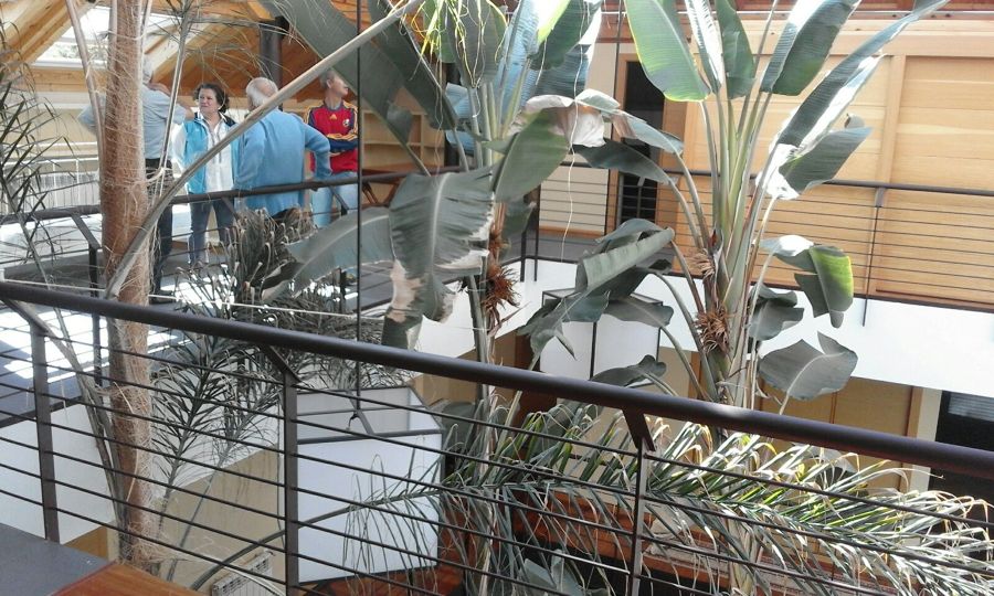 restauracion