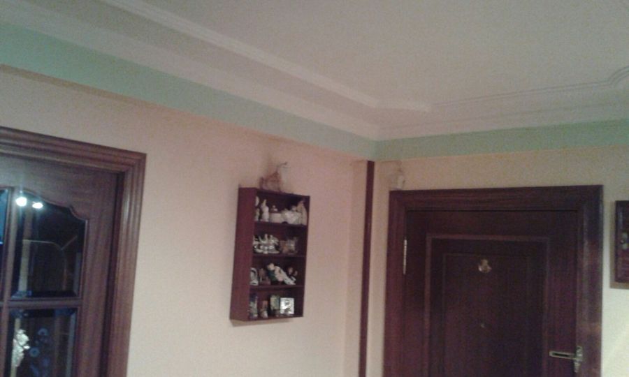 PINTURA DE CASA