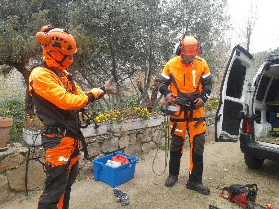 Equipo de podadores