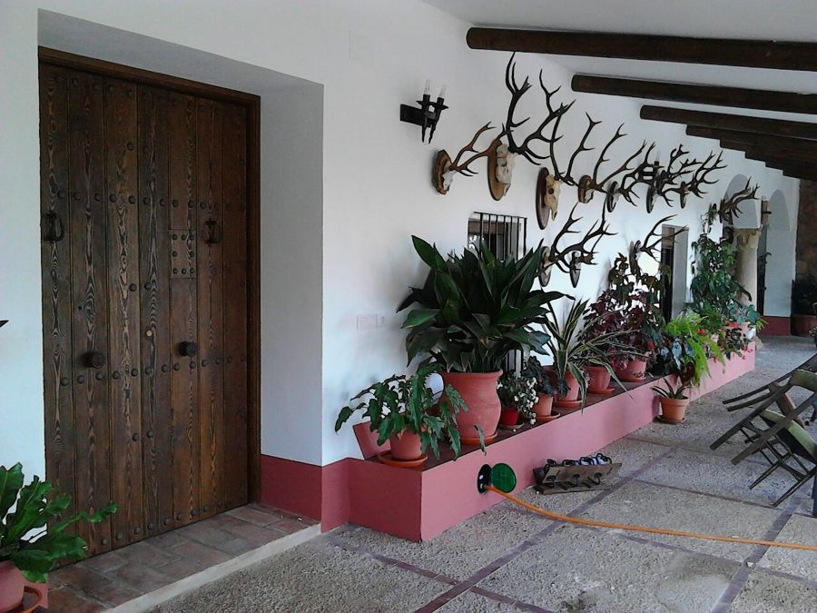 Puerta de cortijo