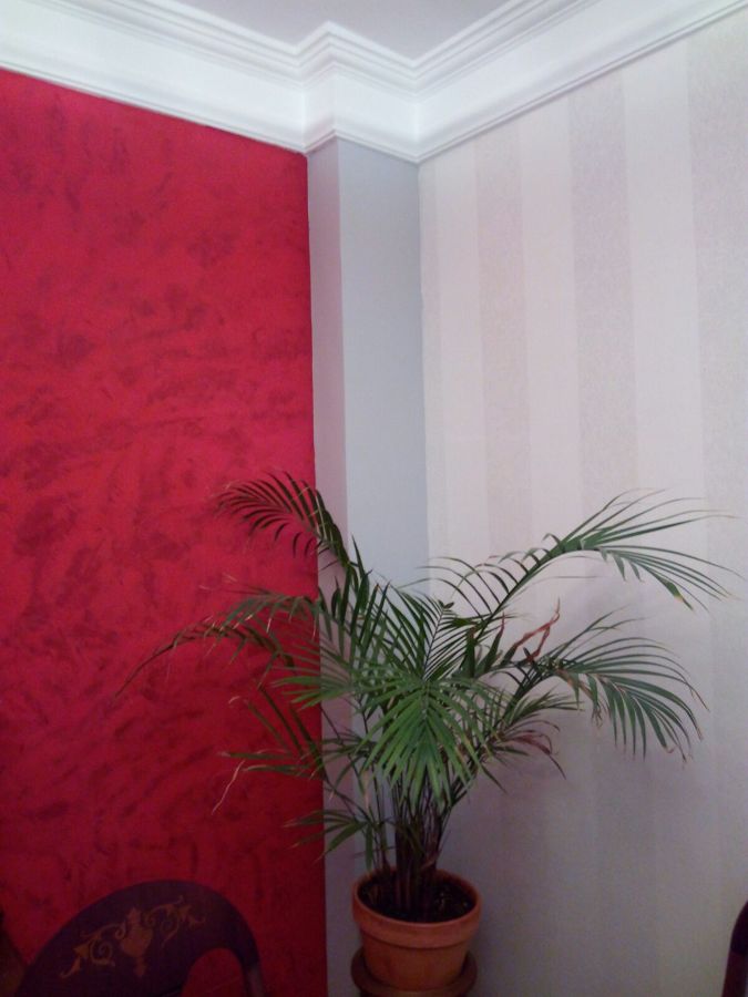salon acabado