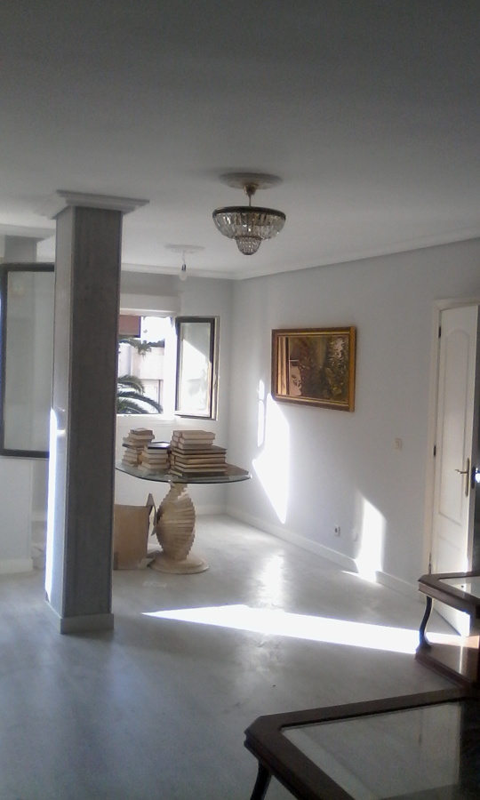 salon en liso 