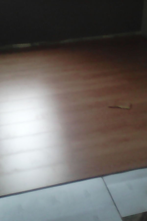 suelo laminado