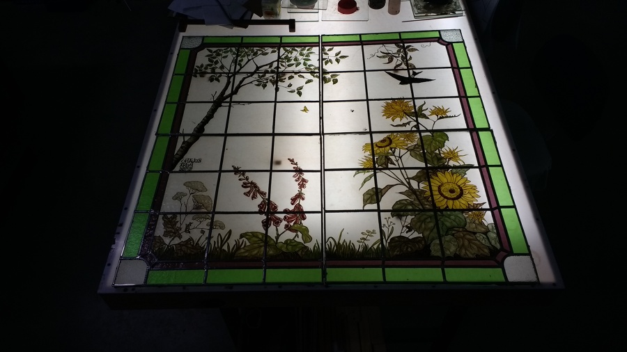 Naturaleza y vida