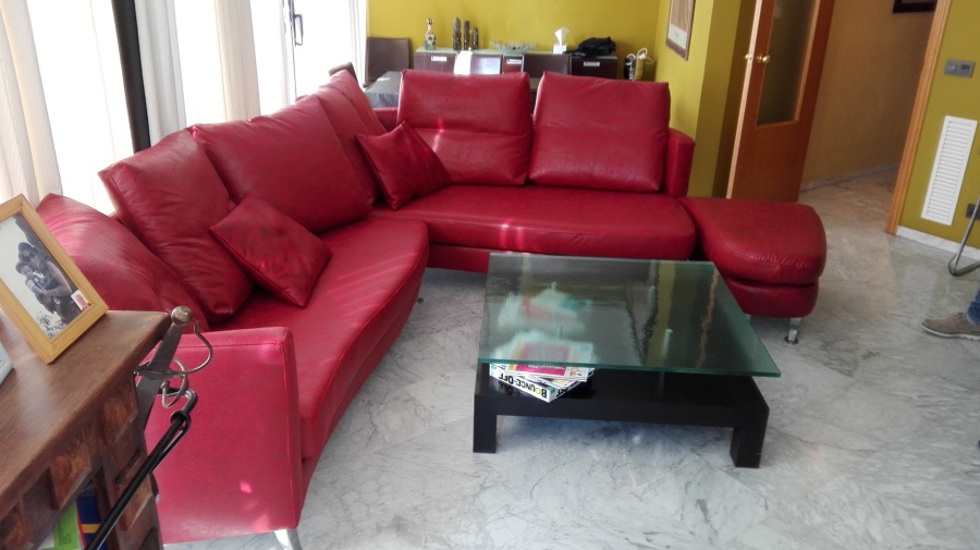 Cheslounge