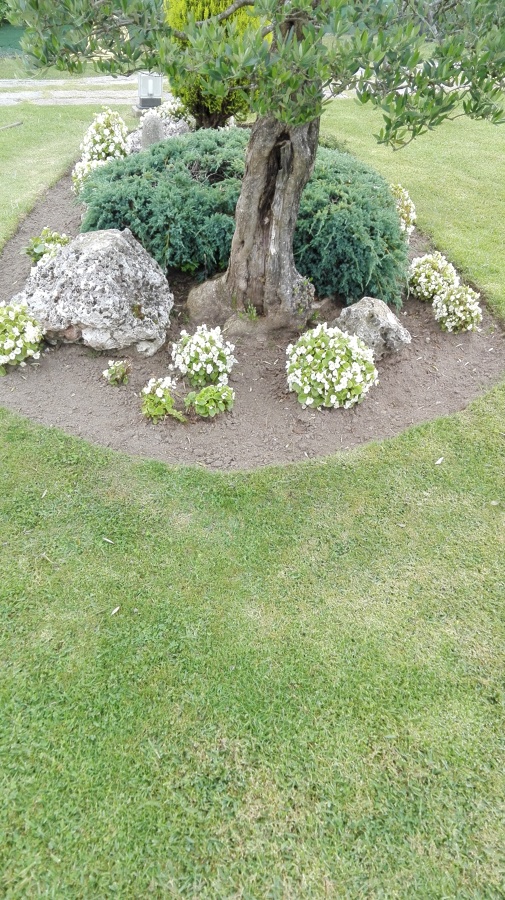 Rocalla