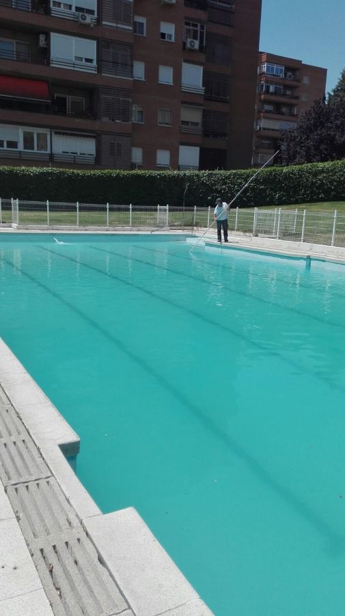 Limpieza piscina
