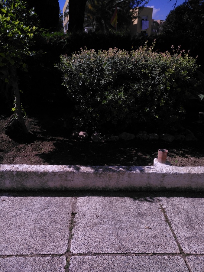 Floreciendo