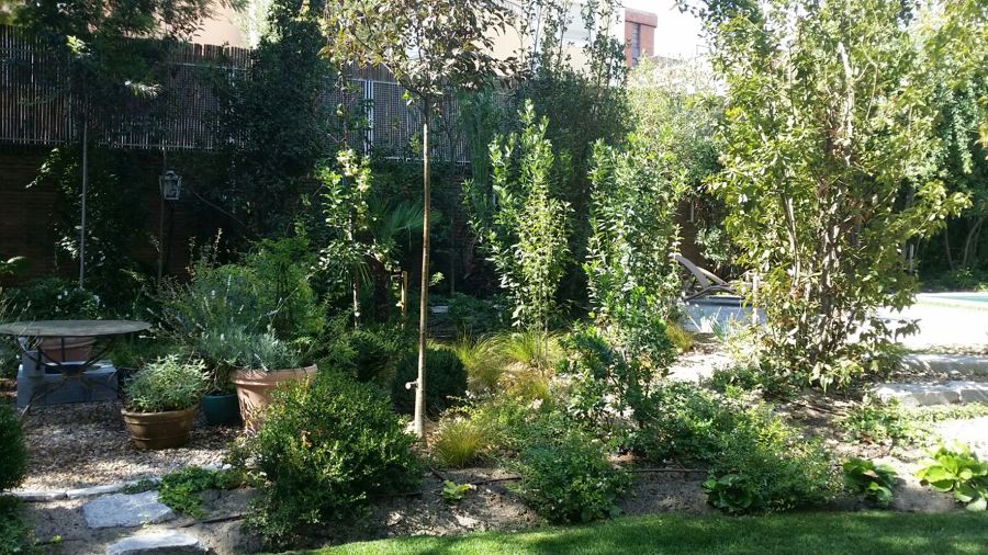 Jardín particular