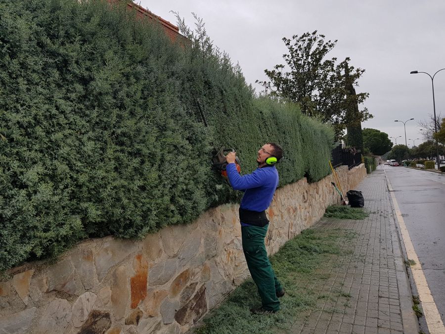 PERFILADO DE SETO