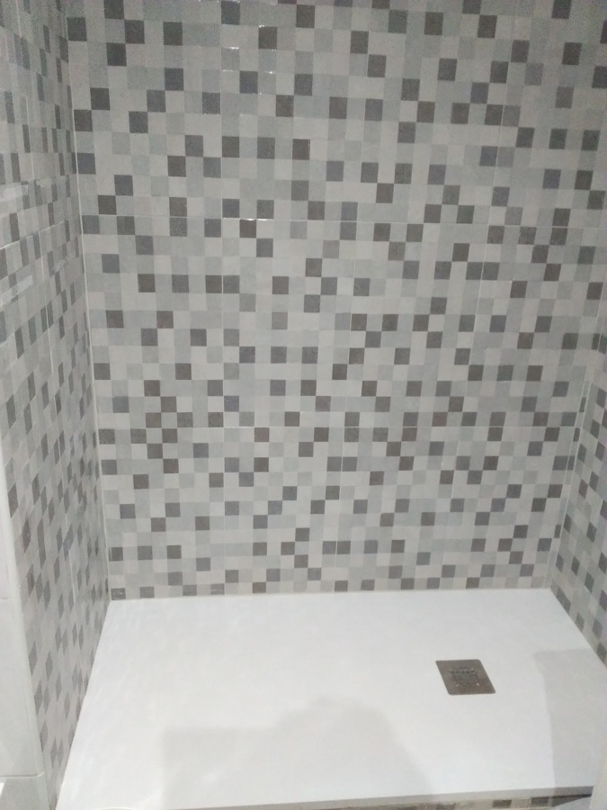 Baño con plato de ducha