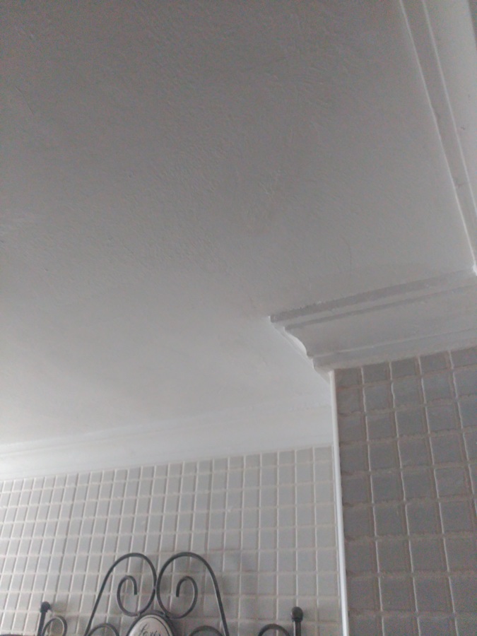 Techo de baño