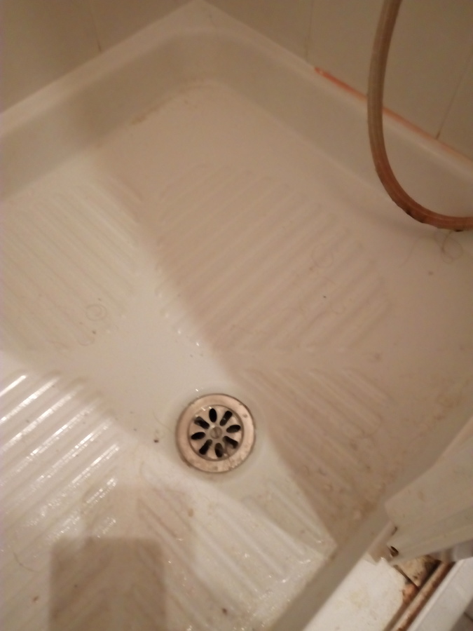 Ducha