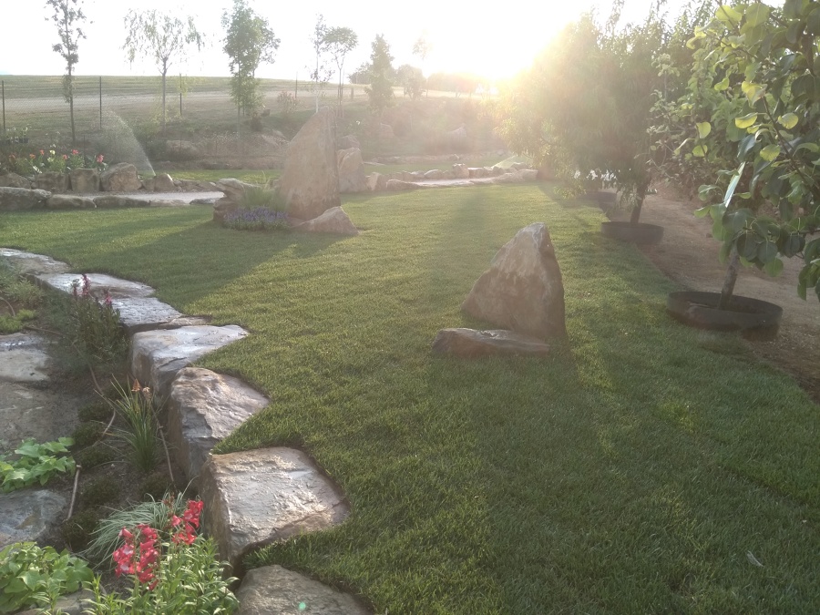 Diseño jardin