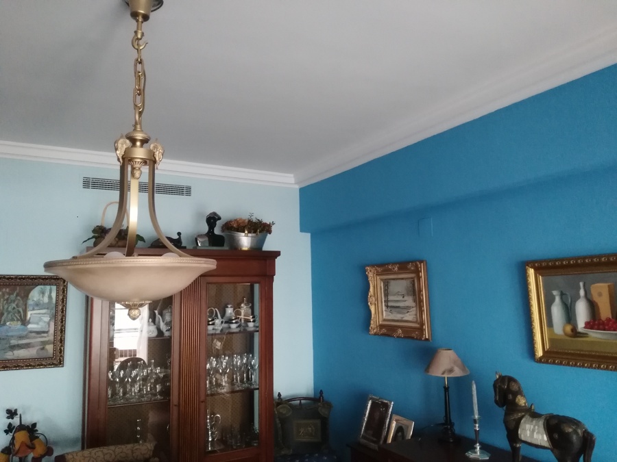 BICOLOR
