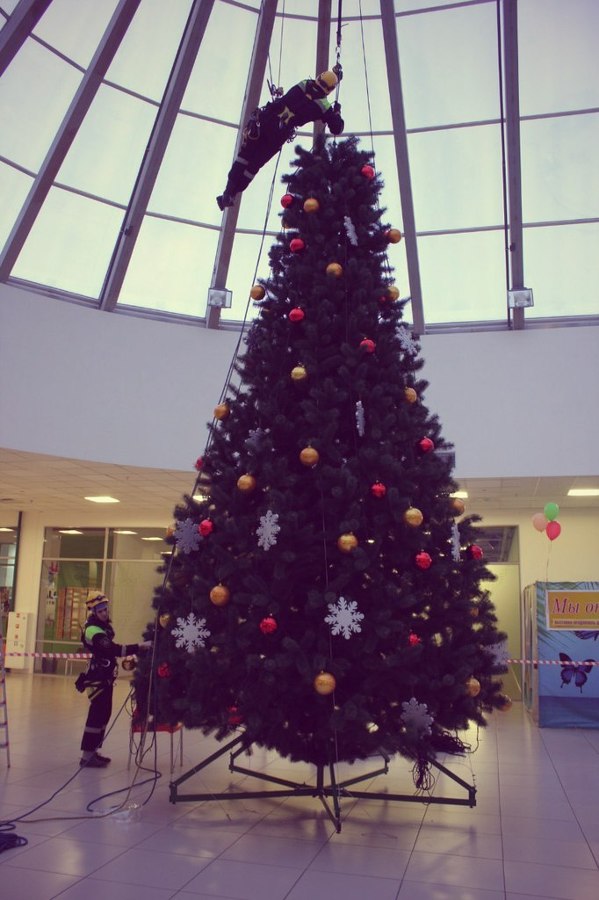 NAVIDADES
