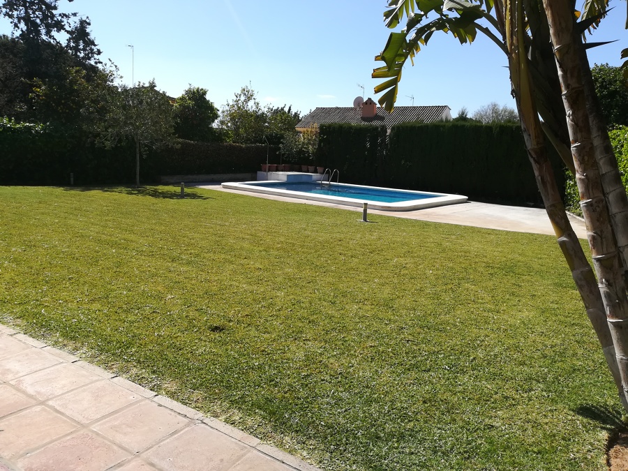 Jardín con piscina