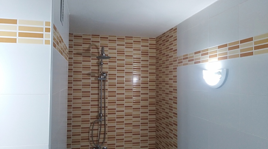Alicatado de baño