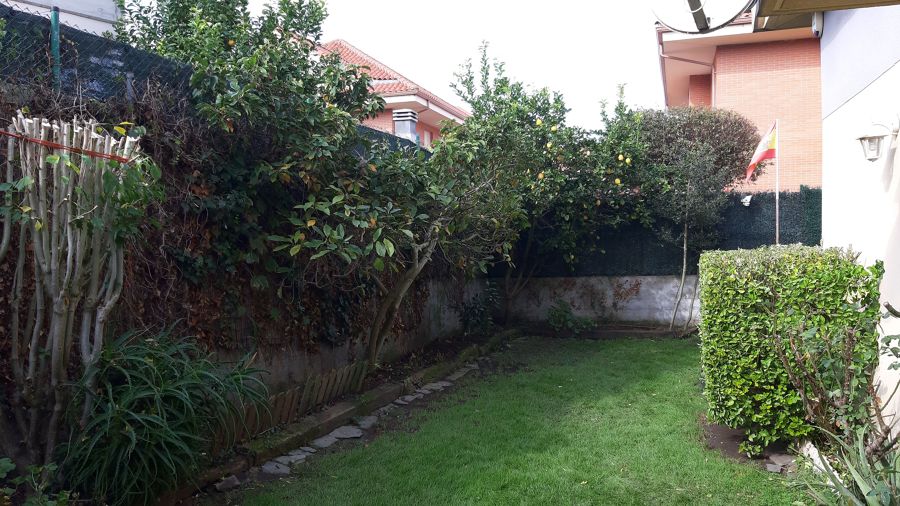 Poda de invierno