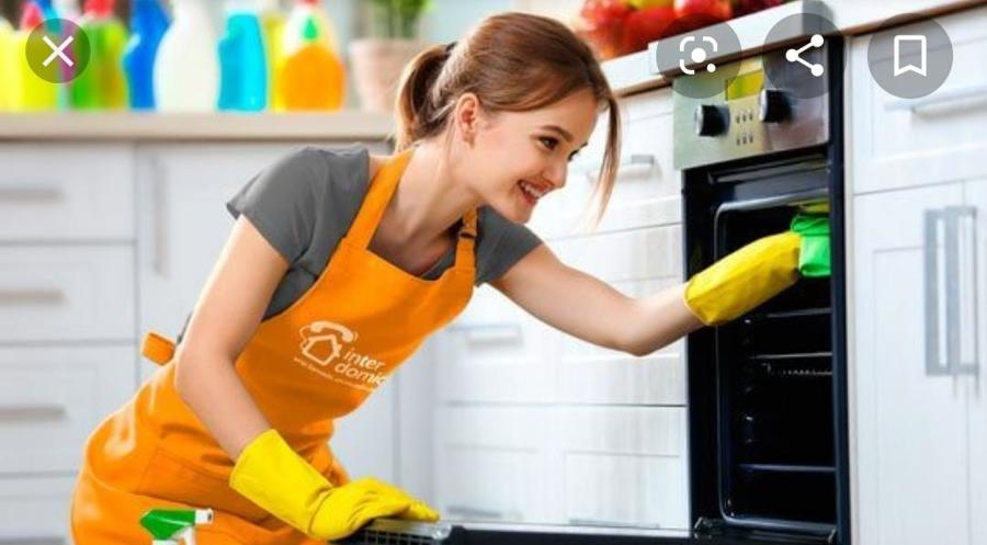 Limpieza horno