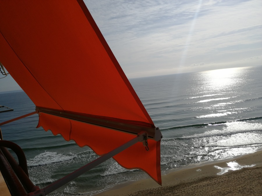 toldo