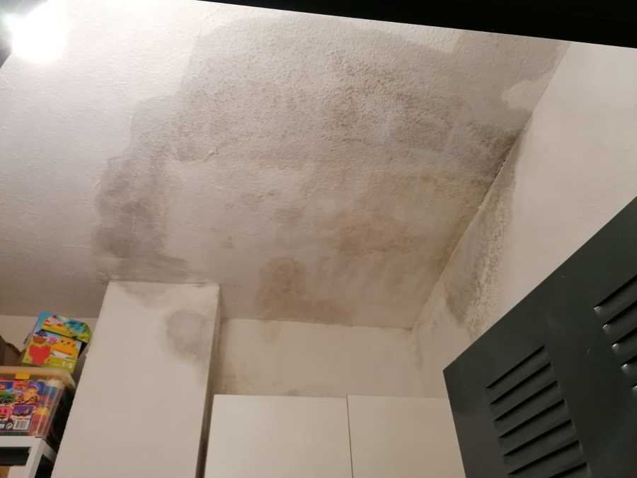 INFORME PERICIAL GOTERAS Y FILTRACCIONES EN EDIFICIO