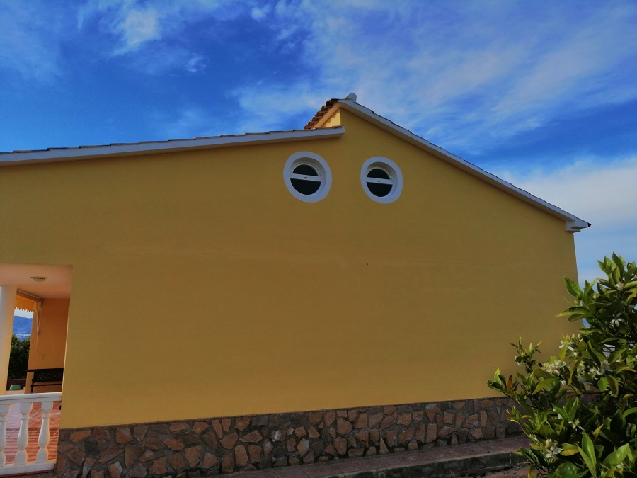 Pintura
