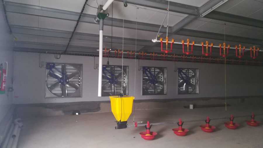 nave criadero animal industrial