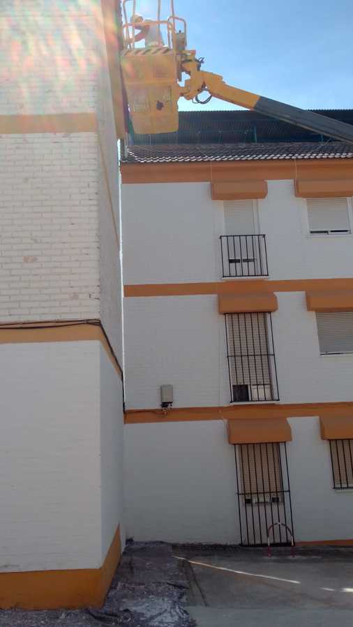 Pintar