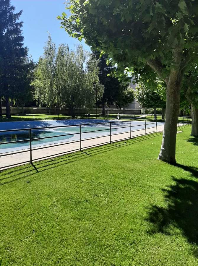 Jardinería y multiservicios